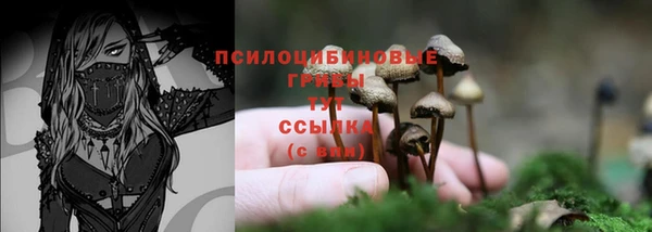 наркотики Зеленокумск