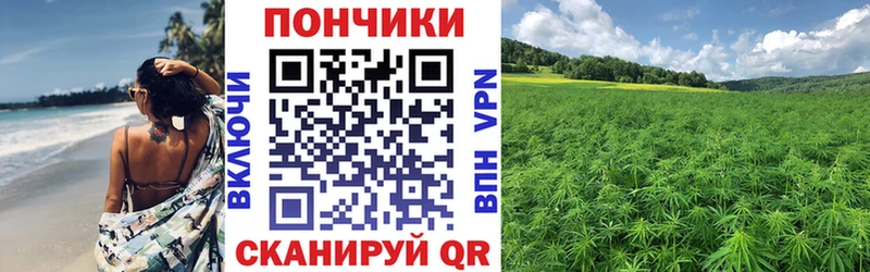 Купить где  Ершов  Каннабис конопля 